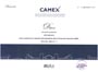 Camex 2007